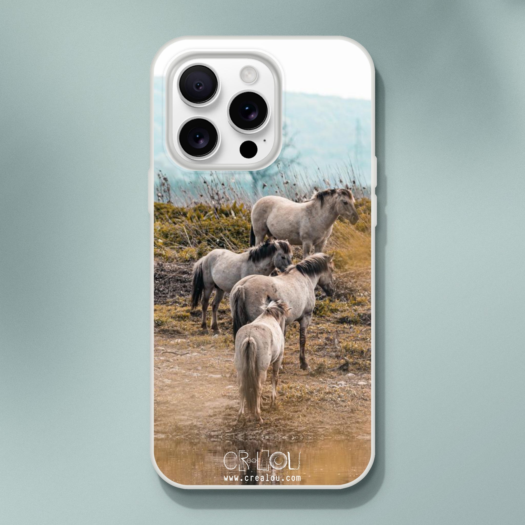 009b78a4-817d-4dcd-af93-82499d7c81e1