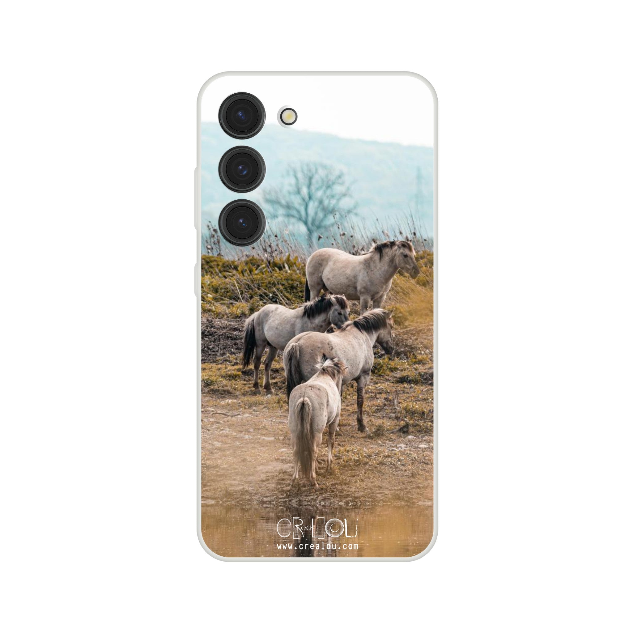 1bf0812f-9f37-4e4d-b6de-15f38974d0f6