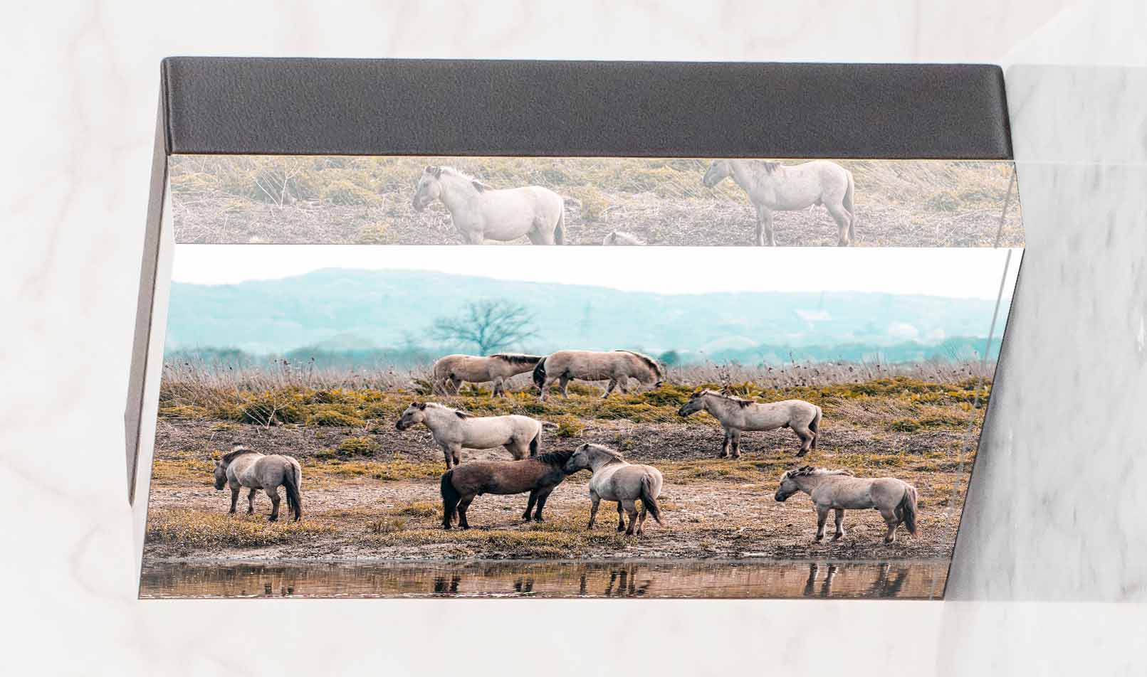 Ice Block - The Peaceful Herd ✨ Limited Edition 🐴